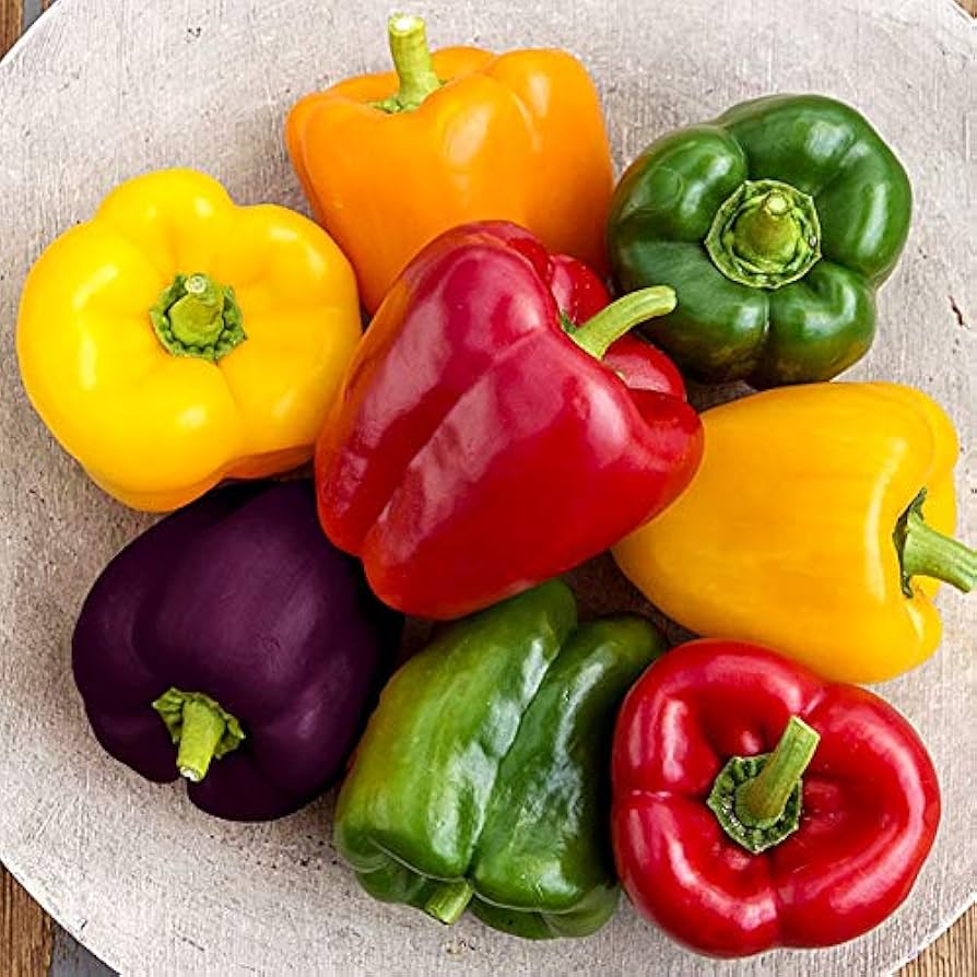 Rainbow Pepper Mix plants grown from seeds with a colorful variety of vibrant sweet and hot peppers